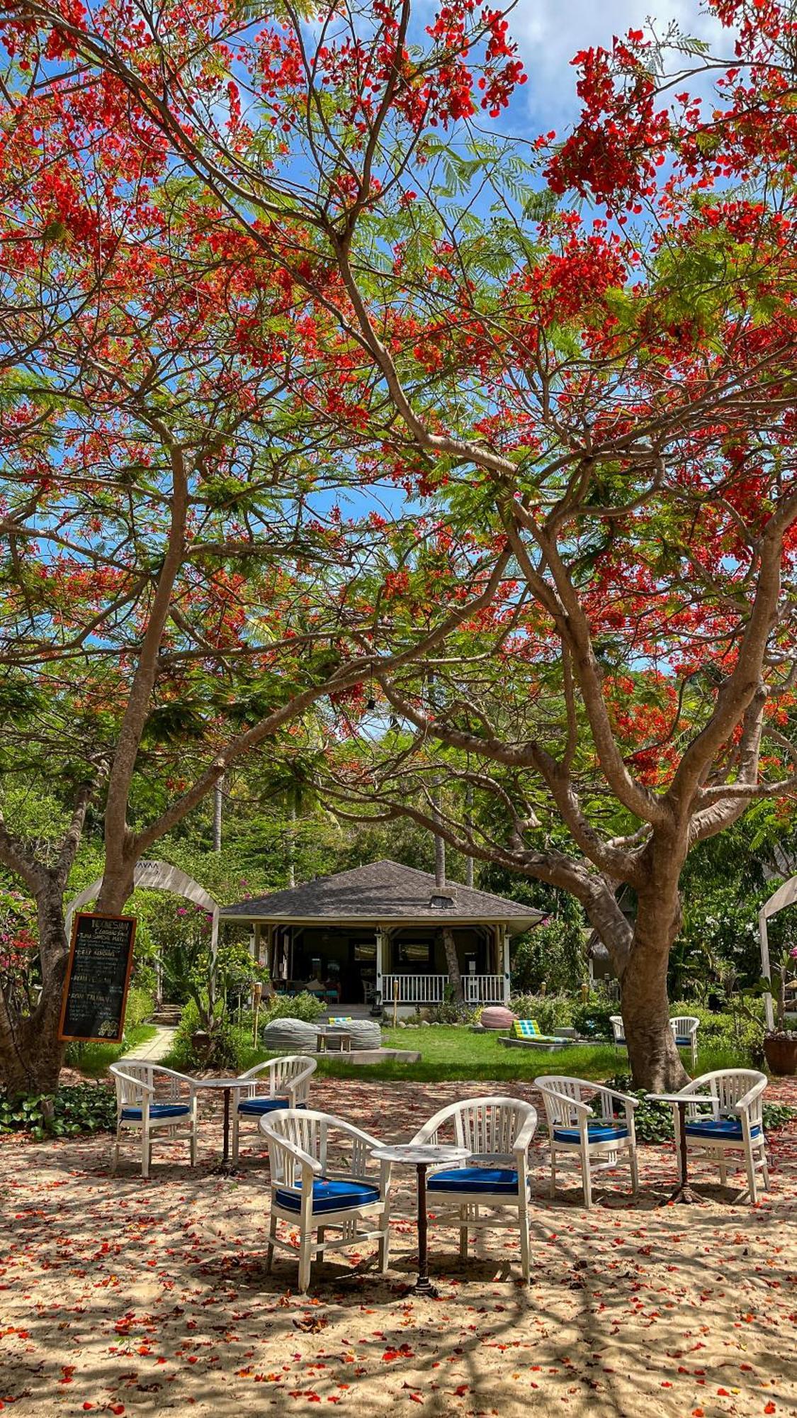 Vayam Boutique Resort גילי אסהאן מראה חיצוני תמונה